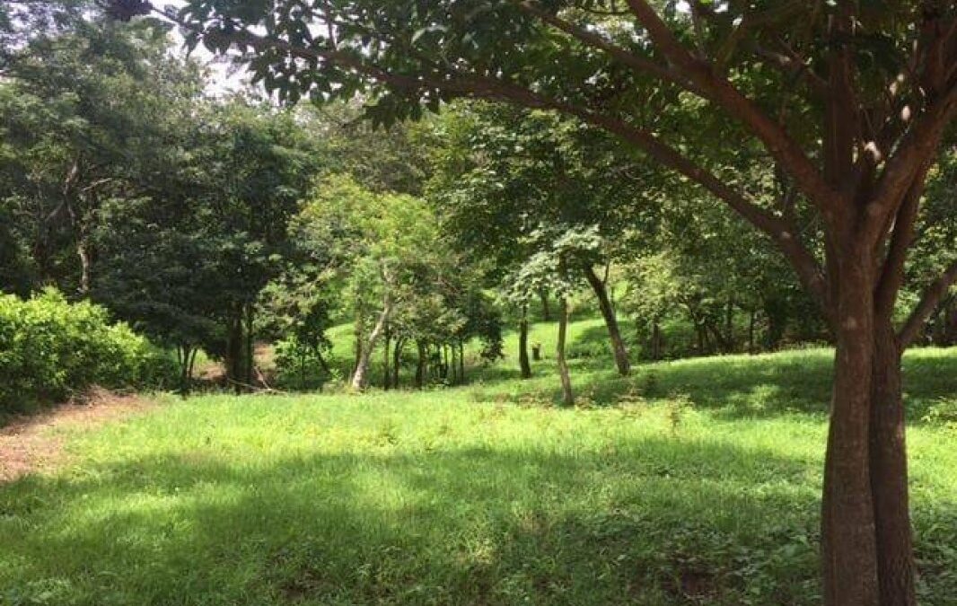 Cartagena | Huacas, Precioso Lote antes de Tamarindo en Guanacaste-REBAJADO 20%